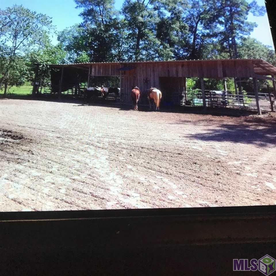 15024 Hooper Road Central, LA 70818 - Photo 4 of 10 Gallery Image 4