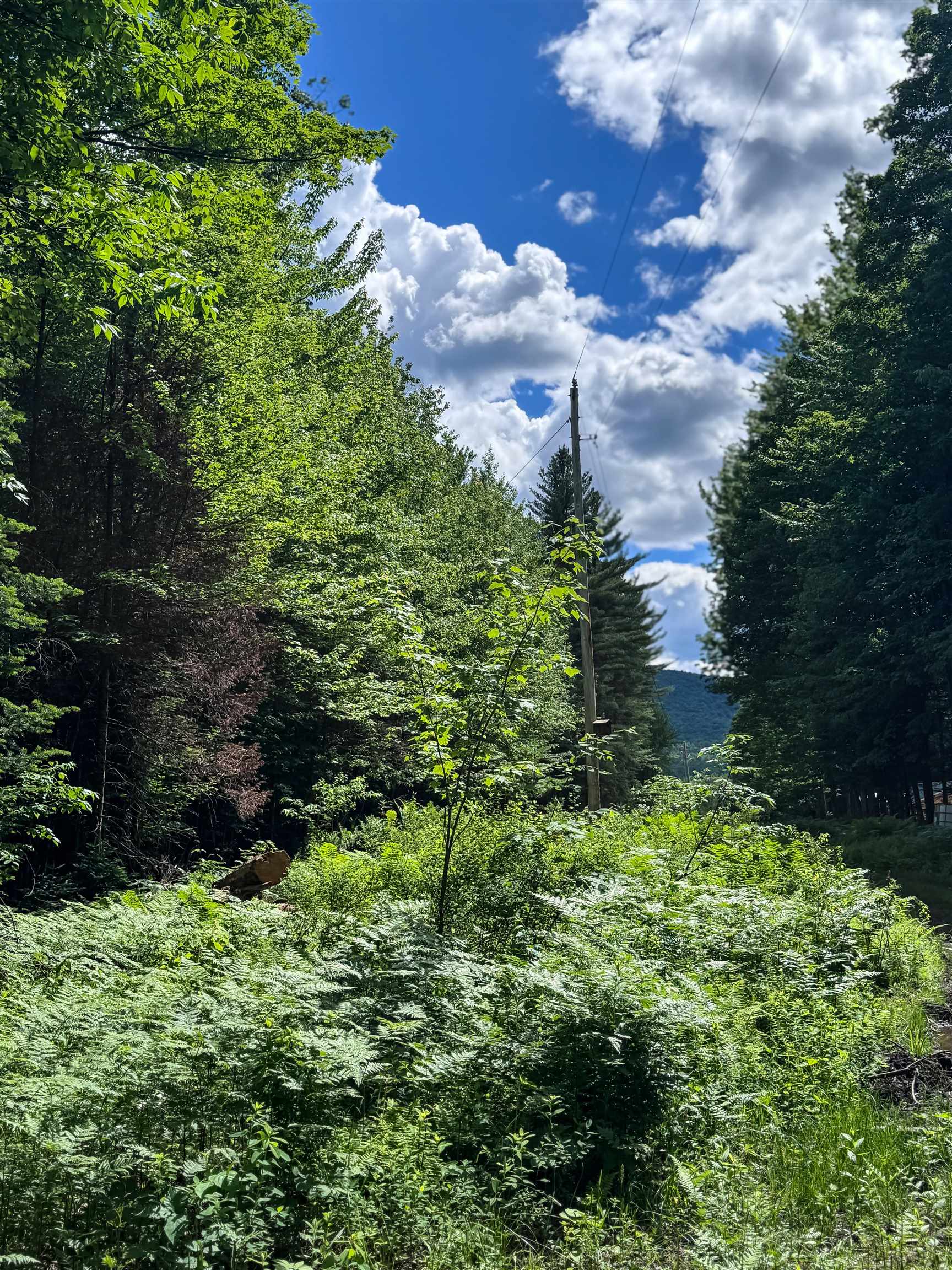 273 Guyette Road Lowell, VT 05847 - Photo 5 of 9