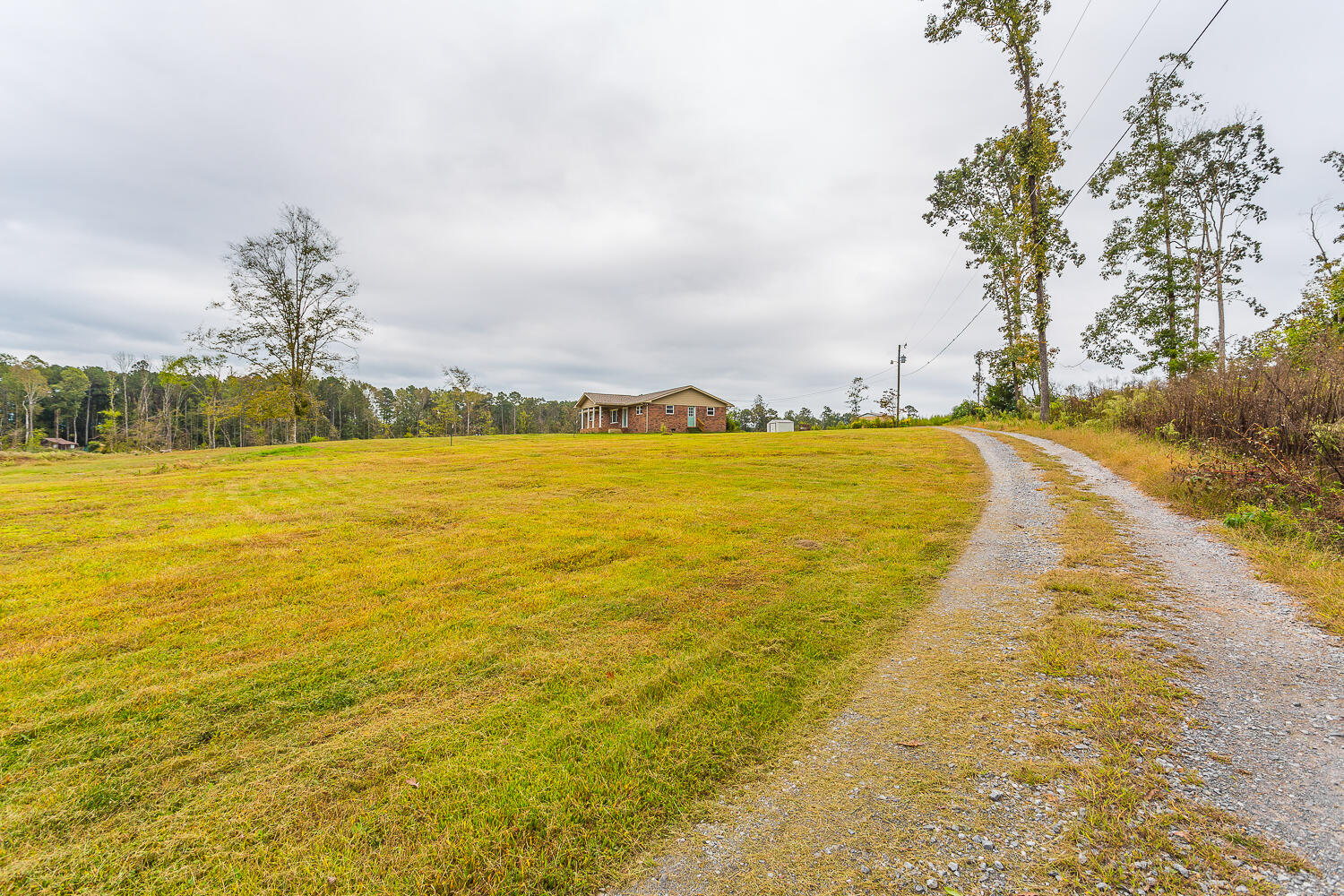 810 Fullers Chapel Road Chatsworth, GA 30705 - Photo 22 of 23 810 Fuller's Chapel HD -2