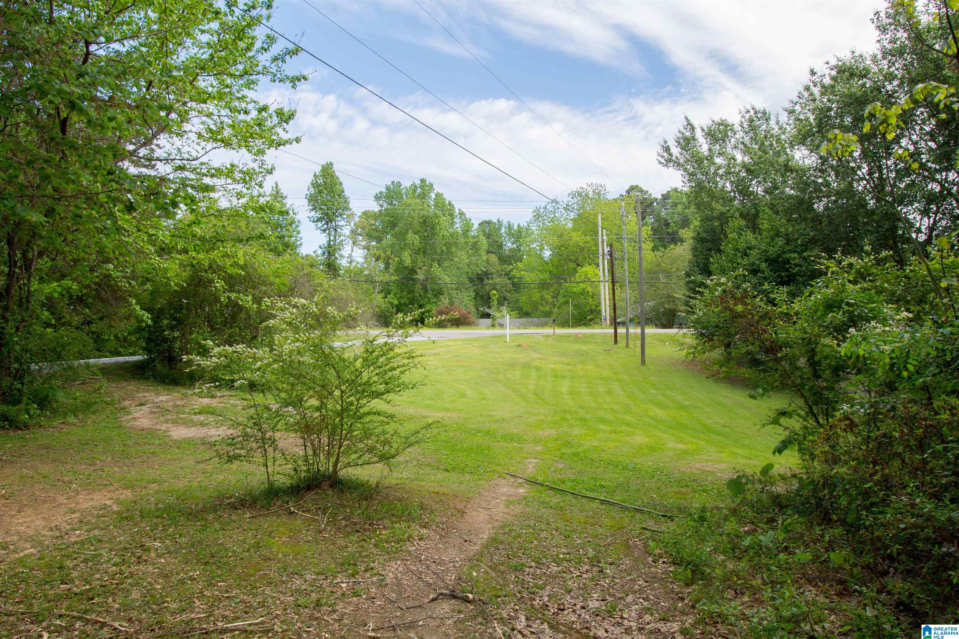 5747 County Road 10 Montevallo, AL 35115 - Photo 2 of 53