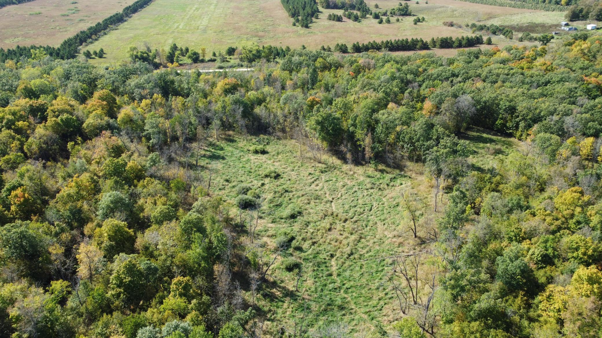 Tbd Tbd Jeff Lake Road Richville, MN 56576 - Photo 17 of 17
