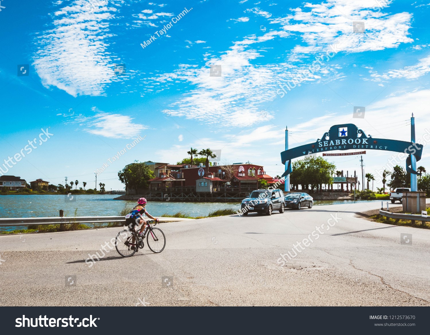 0 Todville Road Seabrook, TX 77586 - Photo 3 of 8