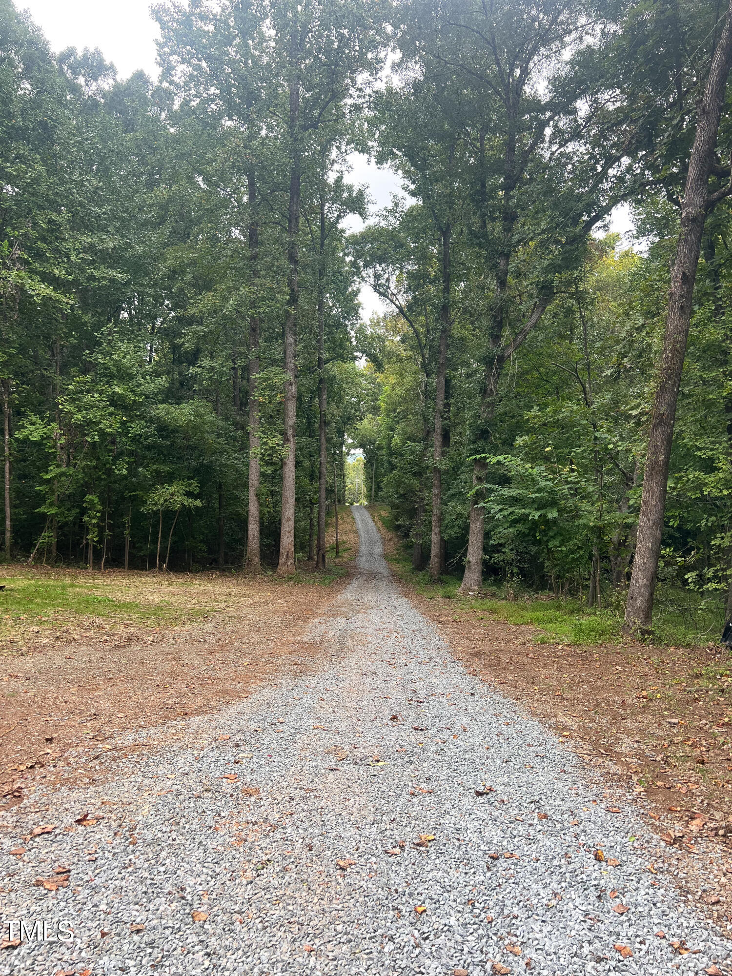 364 Moody Loop Road Siler City, NC 27344 - Photo 16 of 20 a view of a yard with a trees