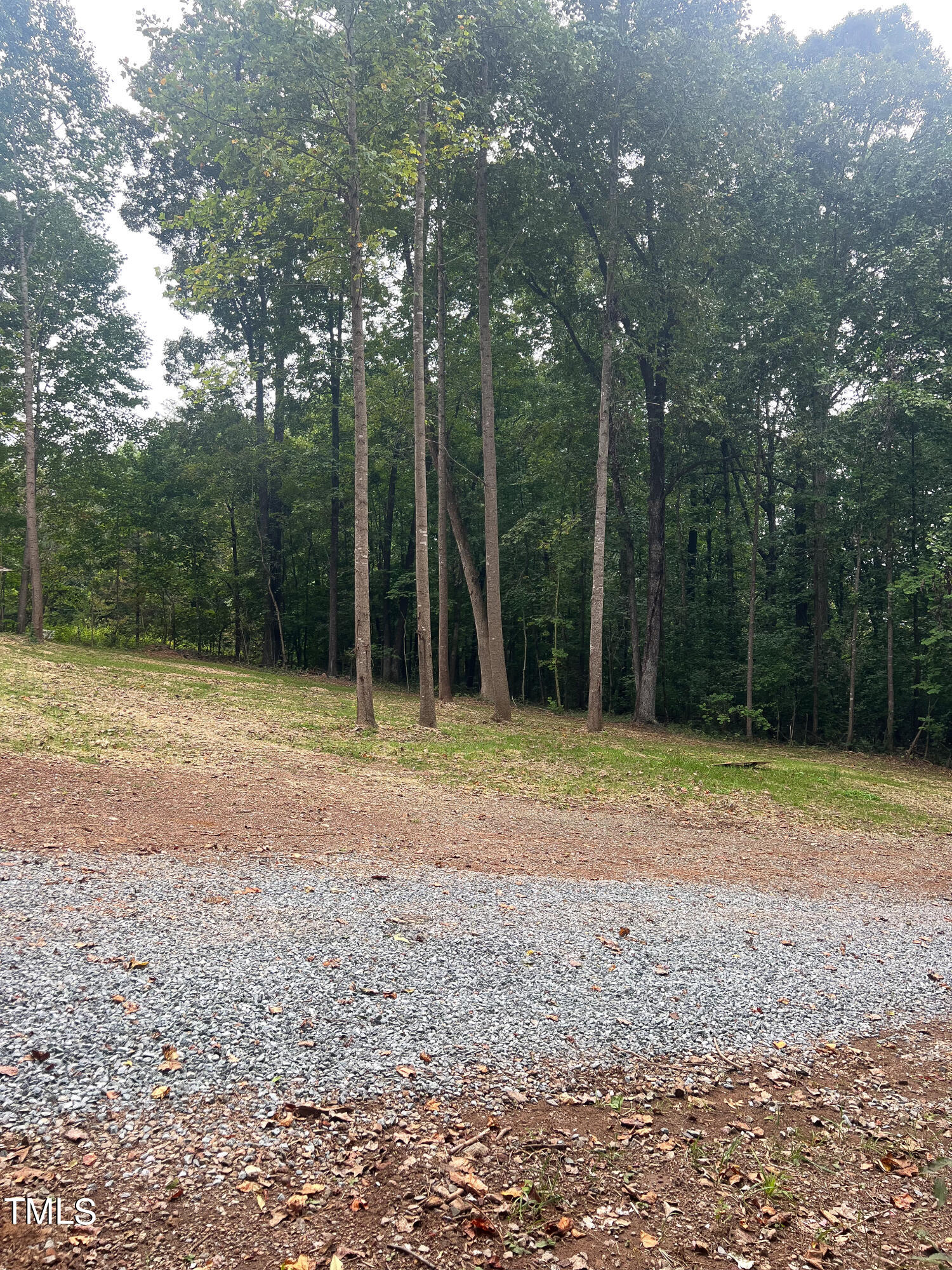 364 Moody Loop Road Siler City, NC 27344 - Photo 17 of 20 a backyard of a house with lots of green space