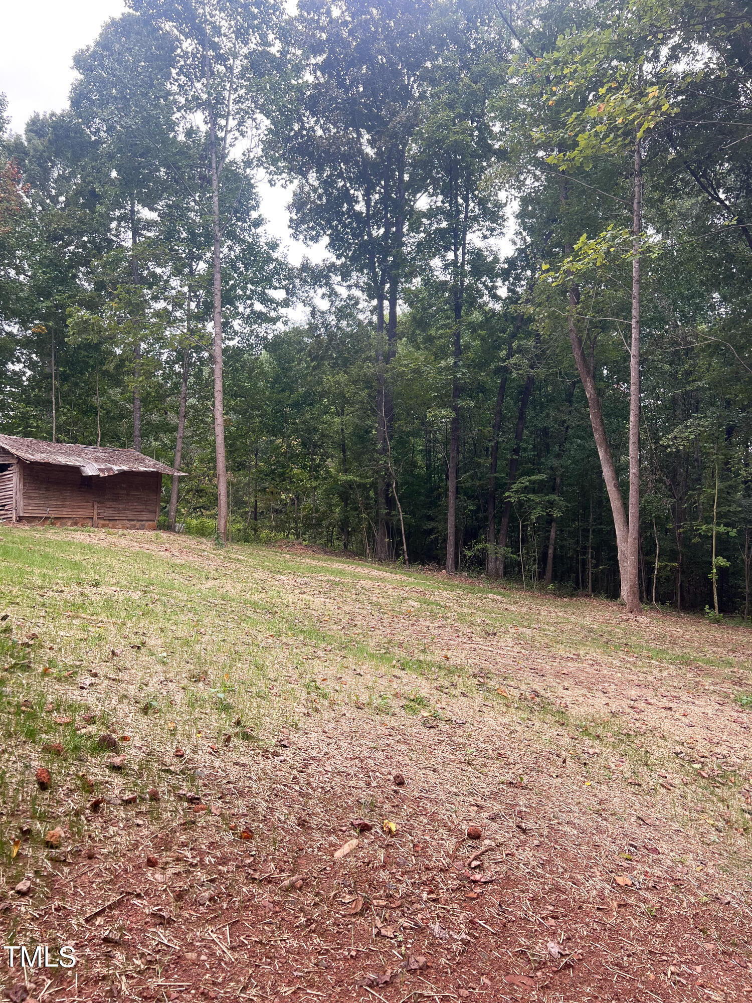 364 Moody Loop Road Siler City, NC 27344 - Photo 18 of 20 a view of a backyard with large trees