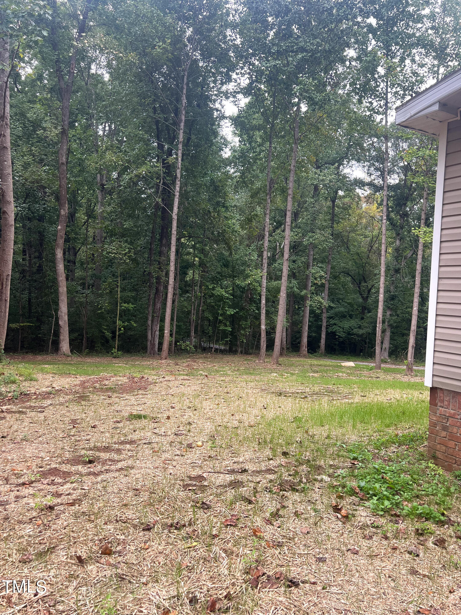 364 Moody Loop Road Siler City, NC 27344 - Photo 19 of 20 a backyard of a house with large trees