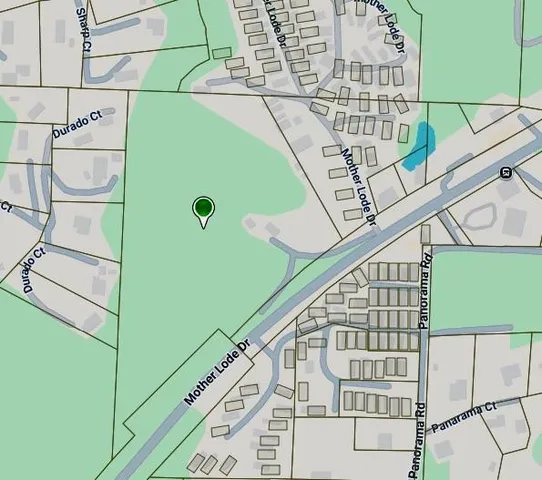 a view of a garden with a slide