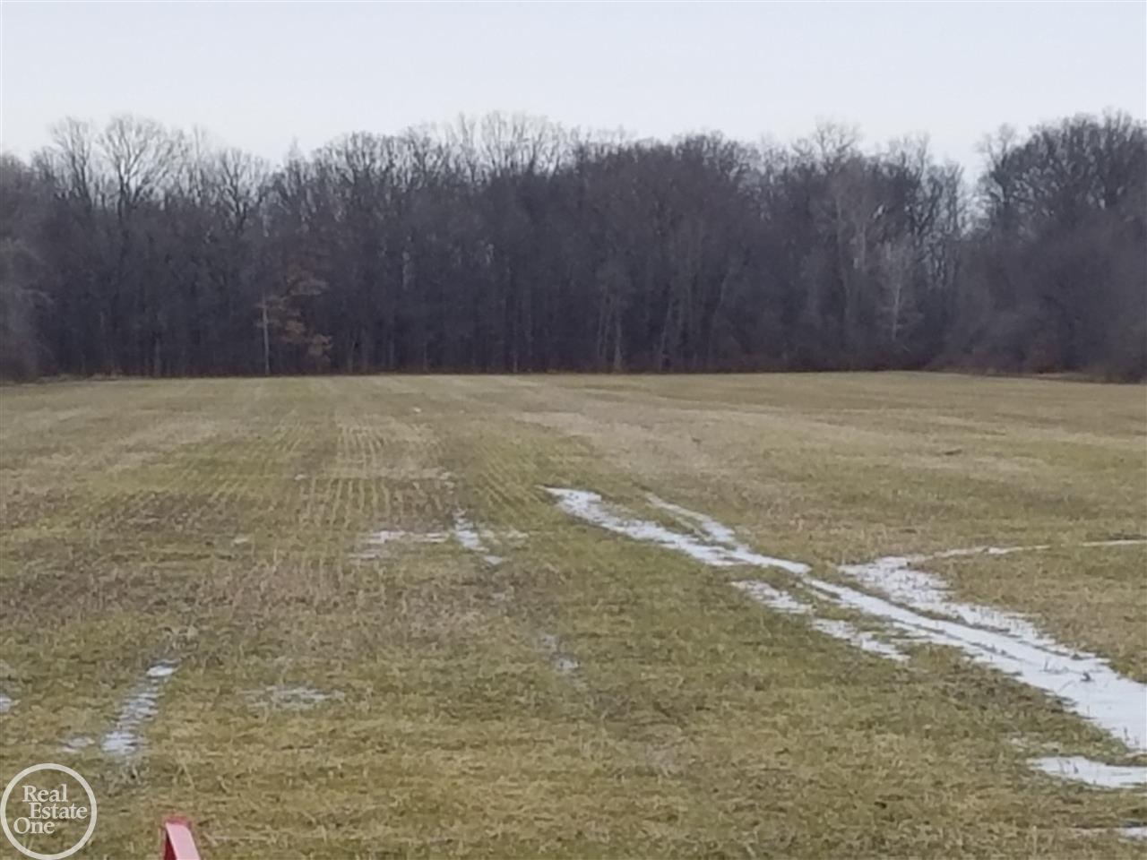0 Springborn Road Casco, MI 48064 - Photo 2 of 2