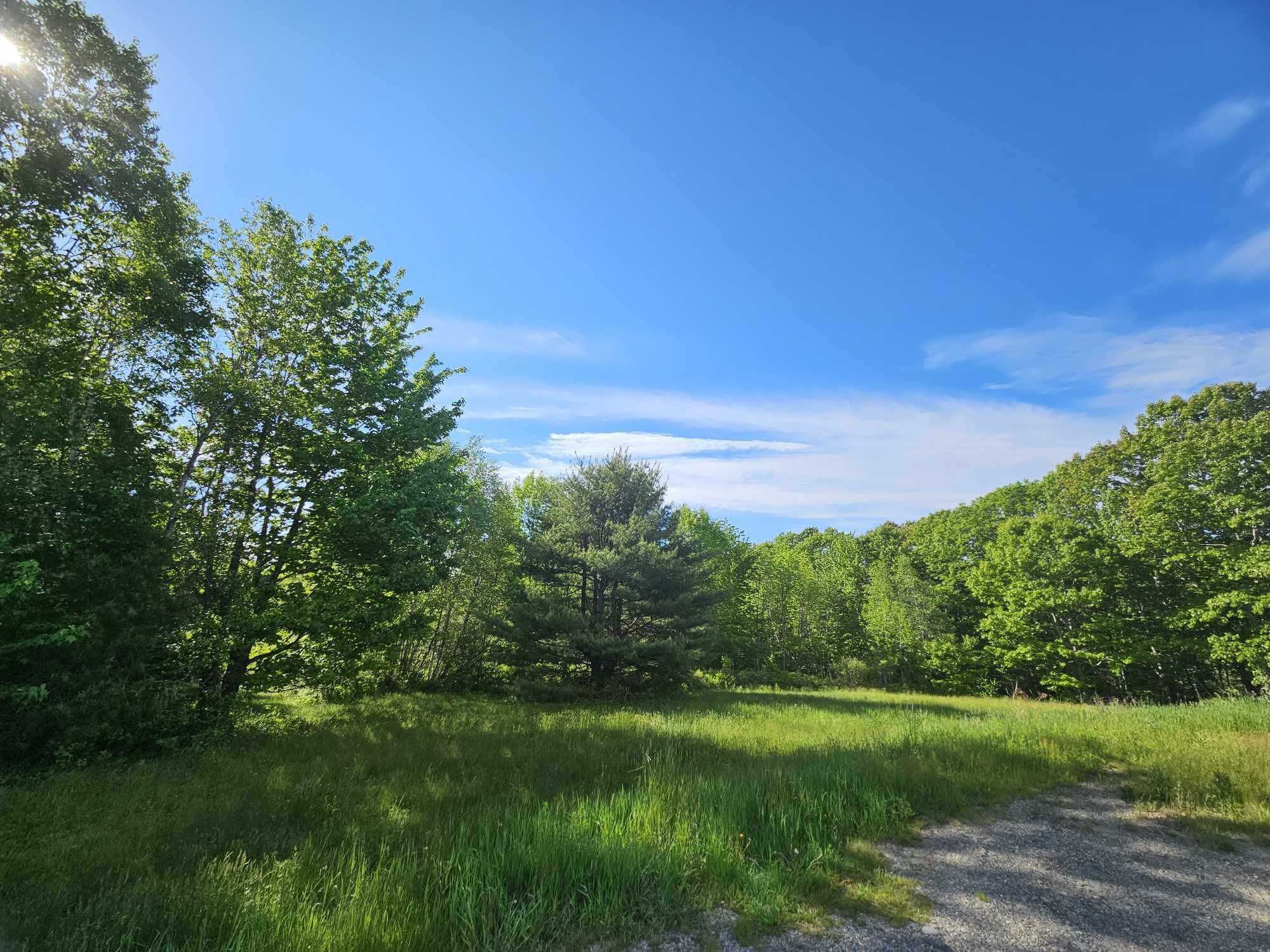 Lot 7-4 Happytown Road Orland, ME 04472 - Photo 16 of 26 Wooded Area in Back
