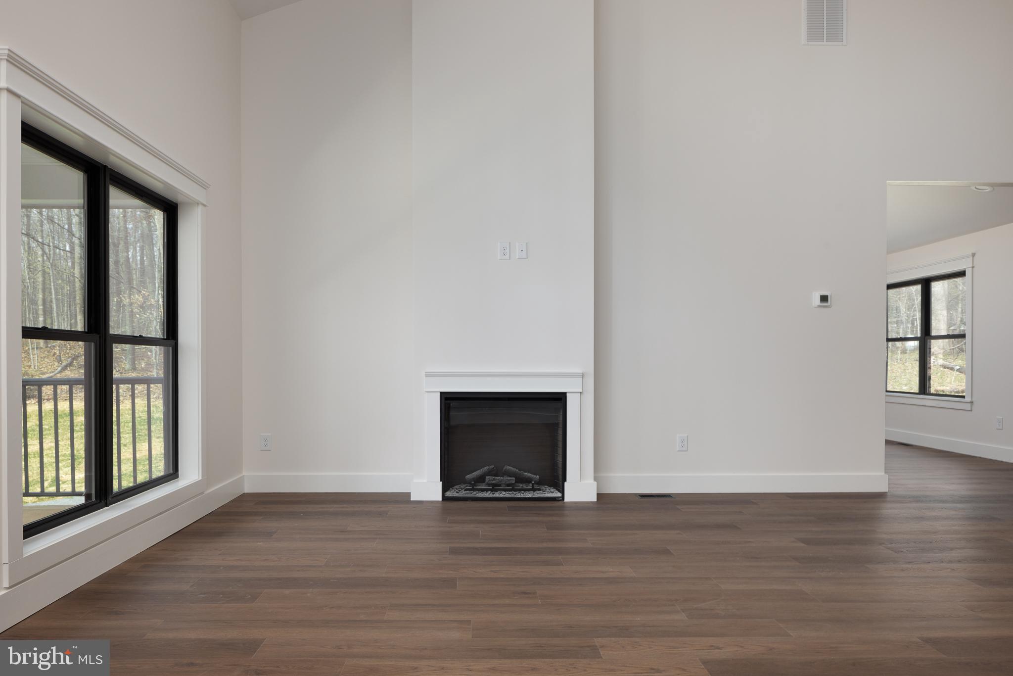 11117 Eggbornsville Road Rixeyville, VA 22737 - Photo 14 of 75 Fireplace