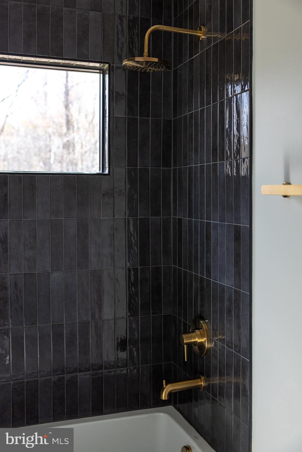 11117 Eggbornsville Road Rixeyville, VA 22737 - Photo 46 of 75 Check Out That Tile!