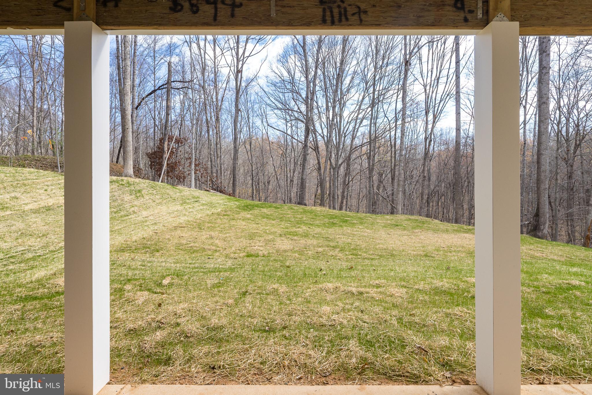 11117 Eggbornsville Road Rixeyville, VA 22737 - Photo 65 of 76 View from Patio