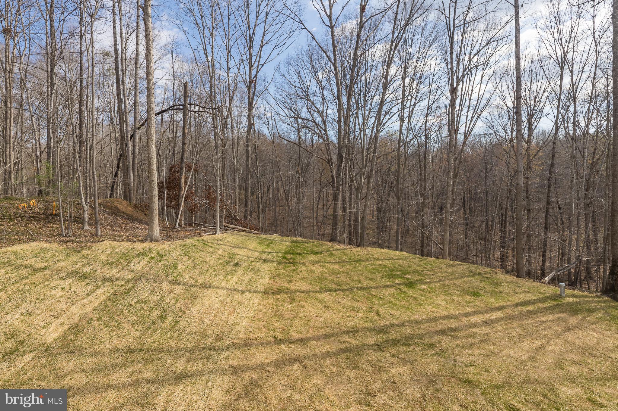 11117 Eggbornsville Road Rixeyville, VA 22737 - Photo 66 of 76 Rear Yard
