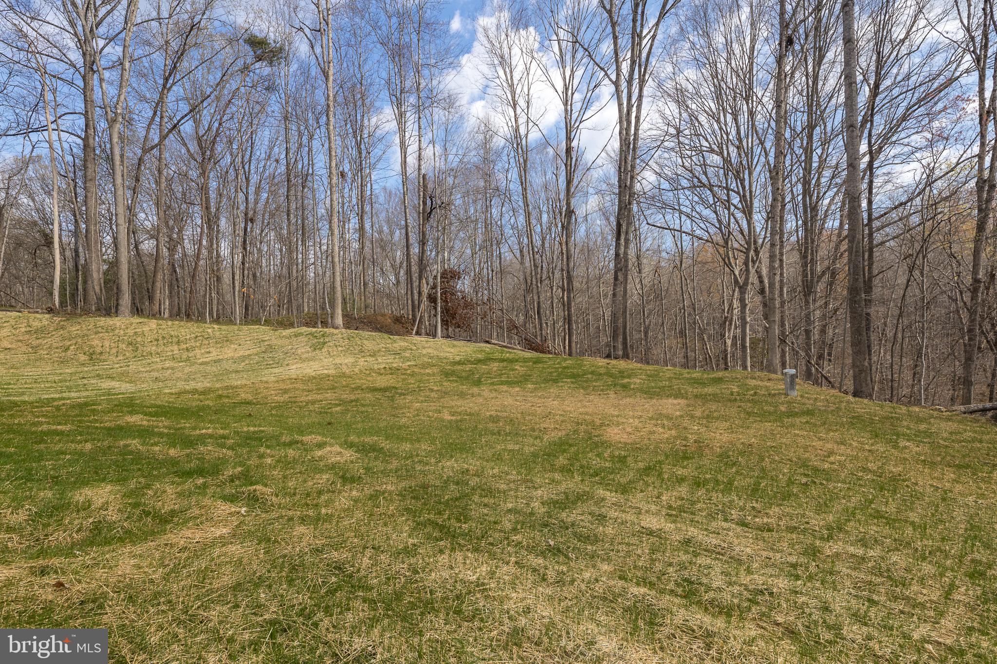 11117 Eggbornsville Road Rixeyville, VA 22737 - Photo 67 of 76 Rear Yard