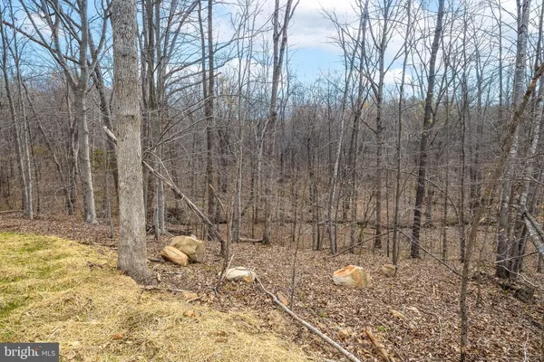 $874,900 | 11117 Eggbornsville Road, Rixeyville, VA 22737