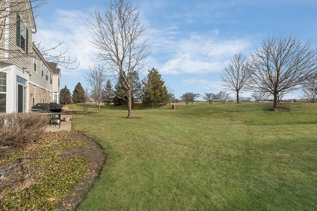 517 Springbrook Trail North Oswego, IL 60543 - Photo 16 of 18