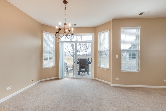 517 Springbrook Trail North Oswego, IL 60543 - Photo 6 of 18