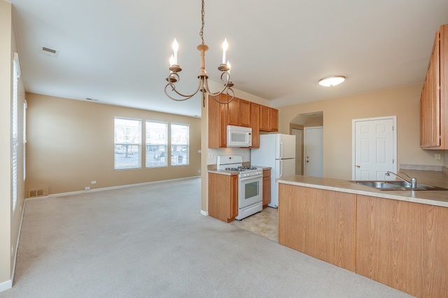 517 Springbrook Trail North Oswego, IL 60543 - Photo 7 of 18