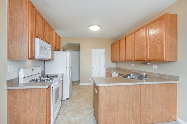 517 Springbrook Trail North Oswego, IL 60543 - Photo 8 of 18