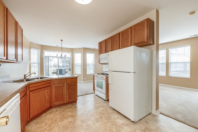517 Springbrook Trail North Oswego, IL 60543 - Photo 10 of 18