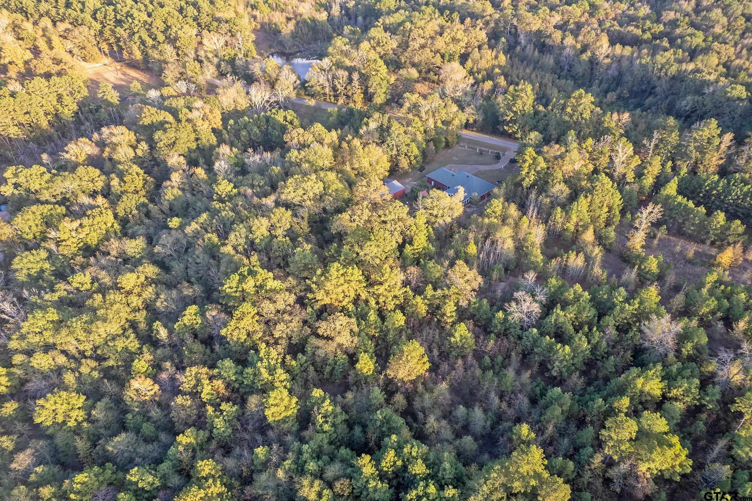 14375 County Road 384 Tyler, TX 75708 - Photo 12 of 48