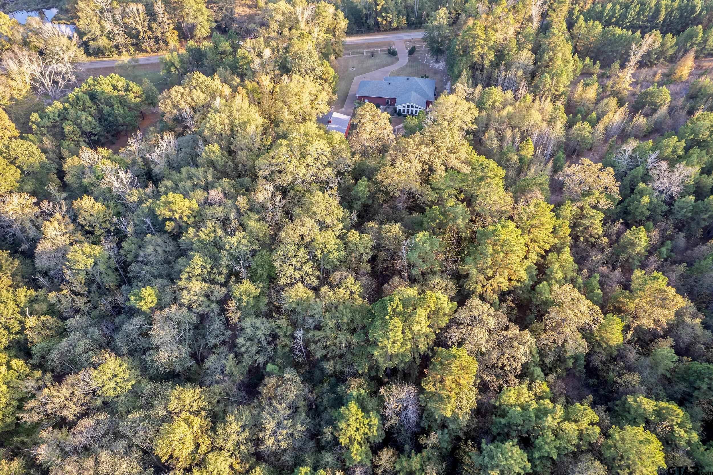 14375 County Road 384 Tyler, TX 75708 - Photo 7 of 48 a view of a house with a tree