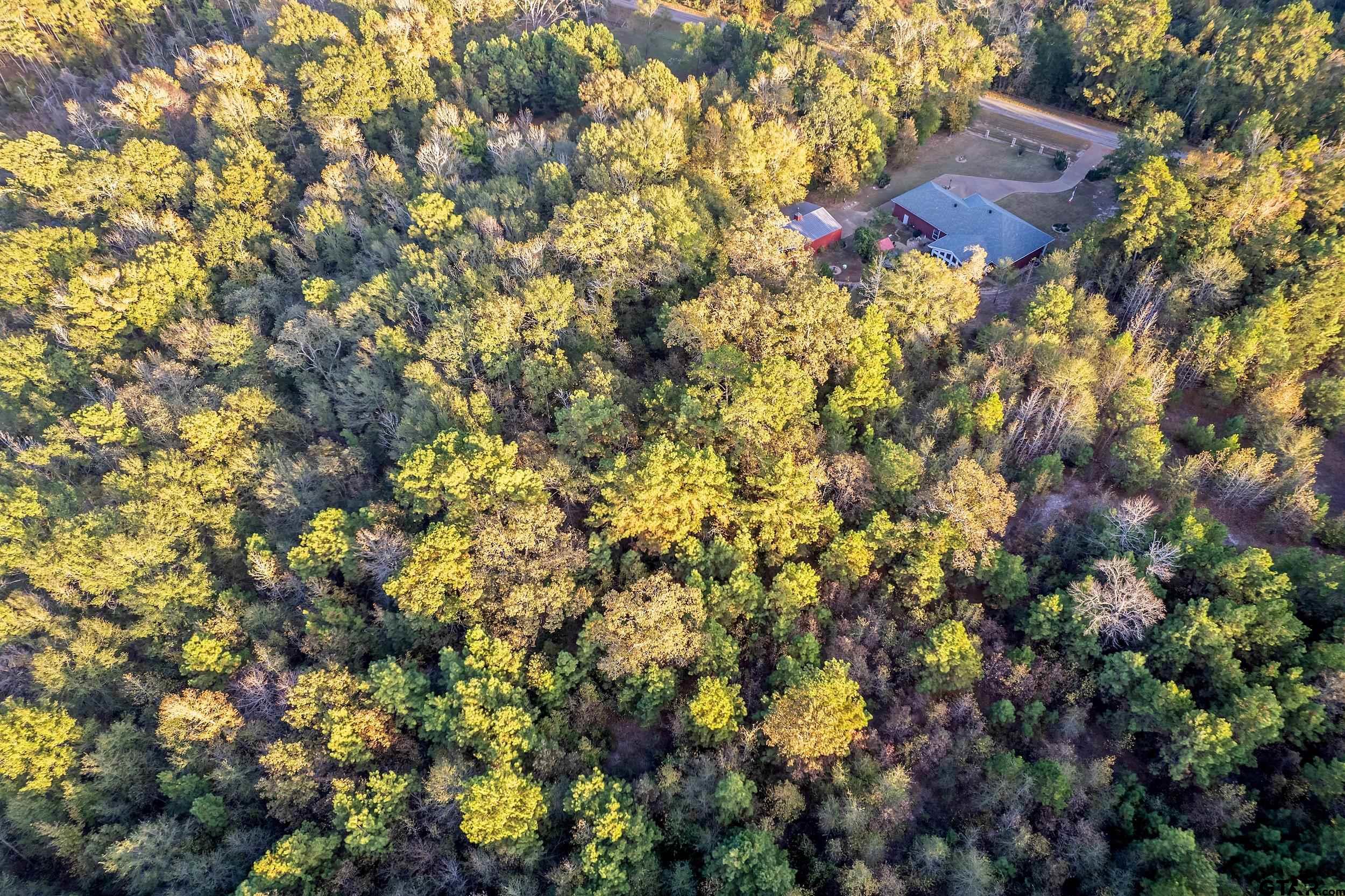 14375 County Road 384 Tyler, TX 75708 - Photo 8 of 48 a view of a house with a tree