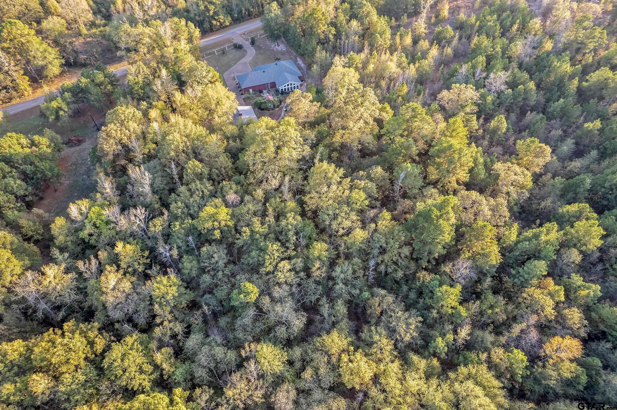 14375 County Road 384 Tyler, TX 75708 - Photo 9 of 48 a view of a house with a tree