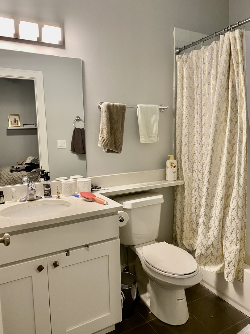 Undisclosed Address Chicago, IL 60657 - Photo 8 of 12 a bathroom with a sink vanity mirror and toilet