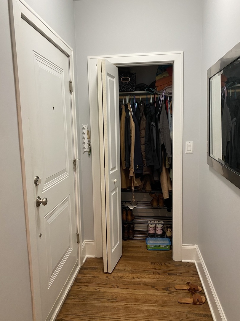 Undisclosed Address Chicago, IL 60657 - Photo 10 of 12 a view of a closet area