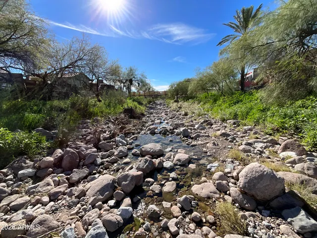 a view of a back yard
