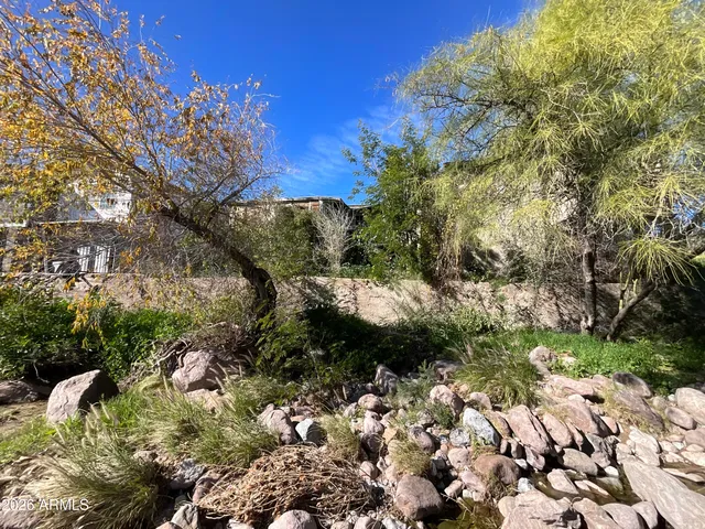 a view of a yard with a tree
