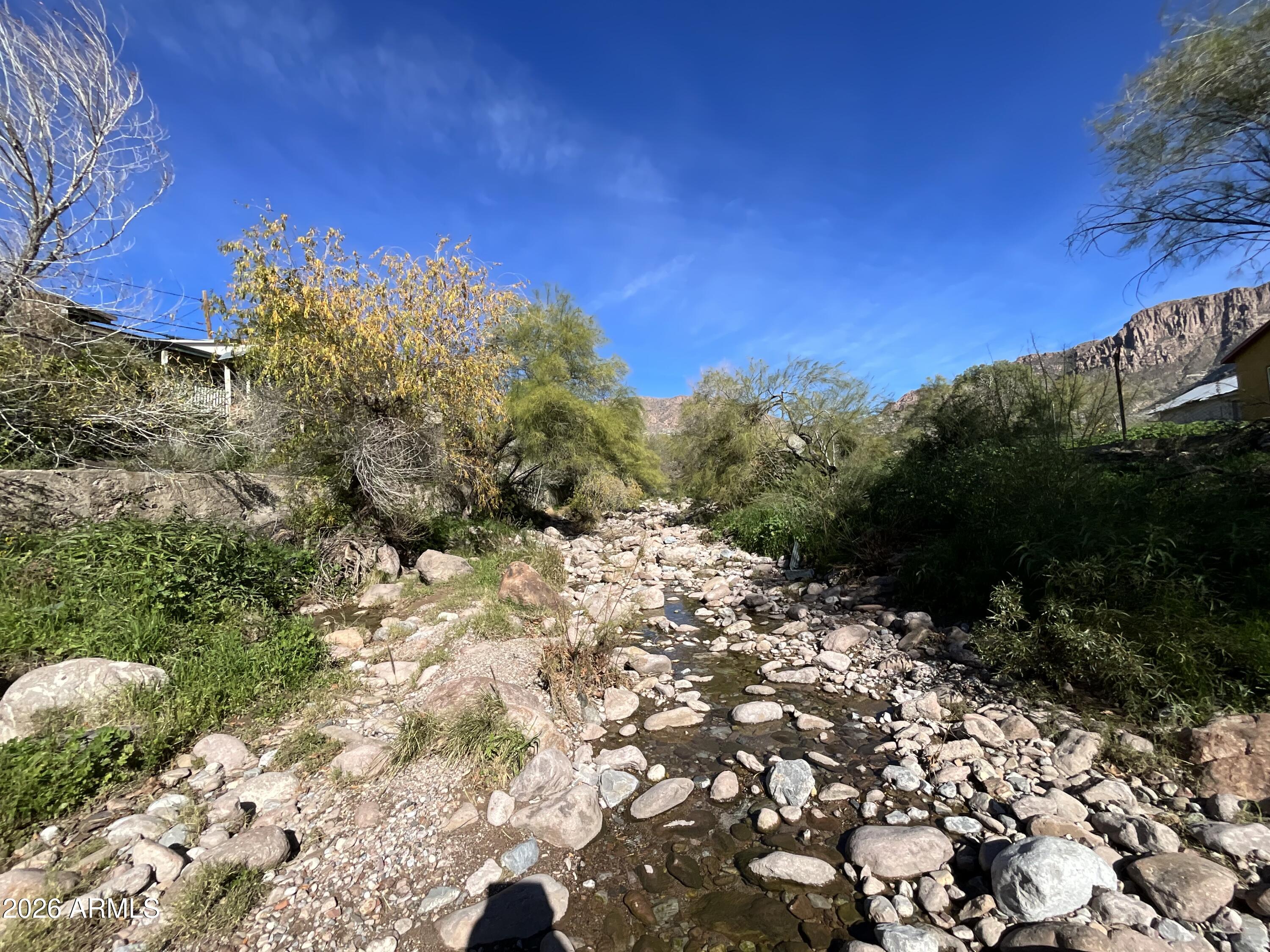 681 Main Street Superior, AZ 85173 - Photo 6 of 6 a view of a yard with a tree