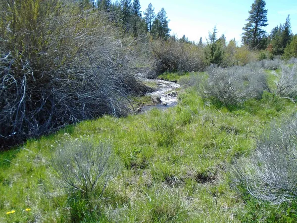 $129,000 | 0 Mckenney Road, Alturas, CA 96101
