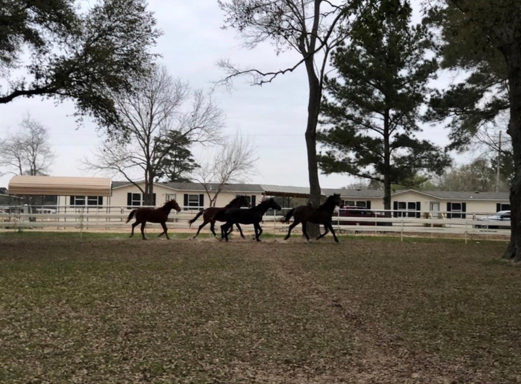 26427 1/2 Dobbin-Huffsmith Road Magnolia, TX 77354 - Photo 1 of 24