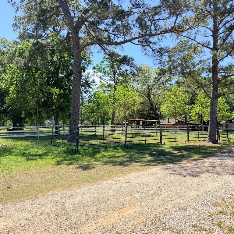 26427 1/2 Dobbin-Huffsmith Road Magnolia, TX 77354 - Photo 22 of 24