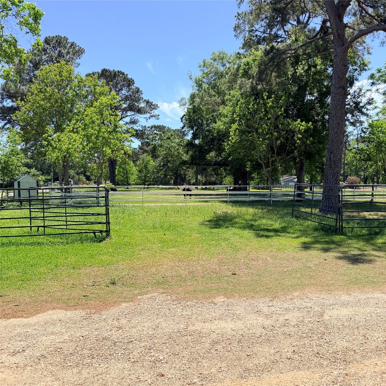 26427 1/2 Dobbin-Huffsmith Road Magnolia, TX 77354 - Photo 23 of 24