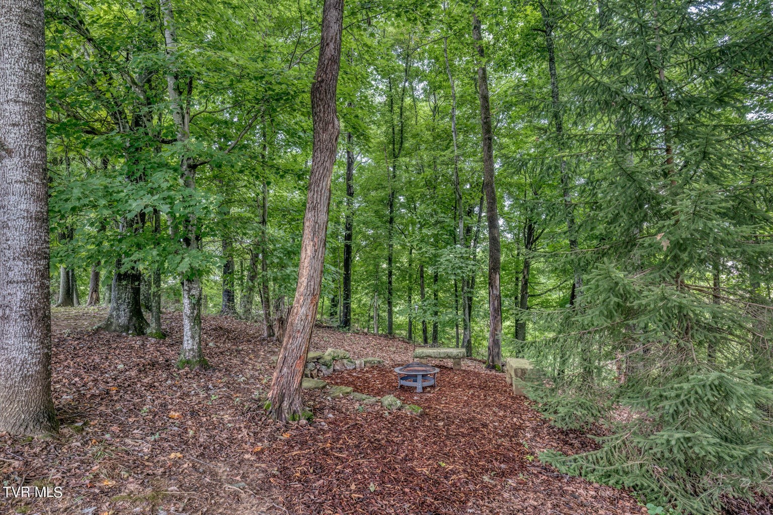 1828 Weaver Branch Road Piney Flats, TN 37686 - Photo 9 of 54 a view of outdoor space and green space