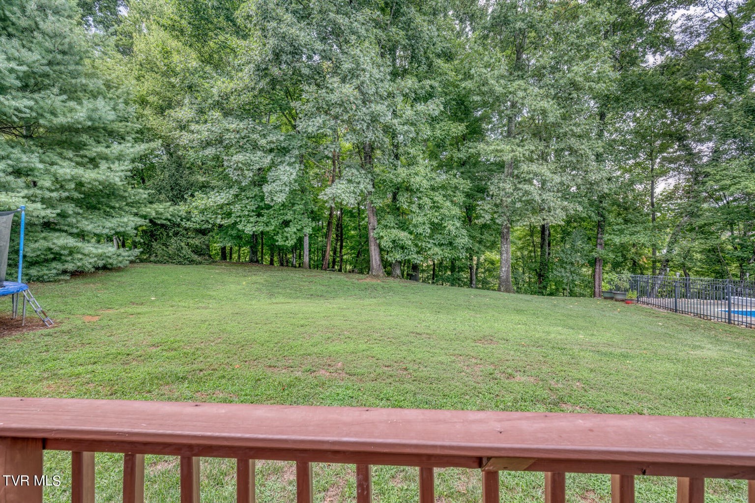 1828 Weaver Branch Road Piney Flats, TN 37686 - Photo 10 of 54 a view of a yard with a tree