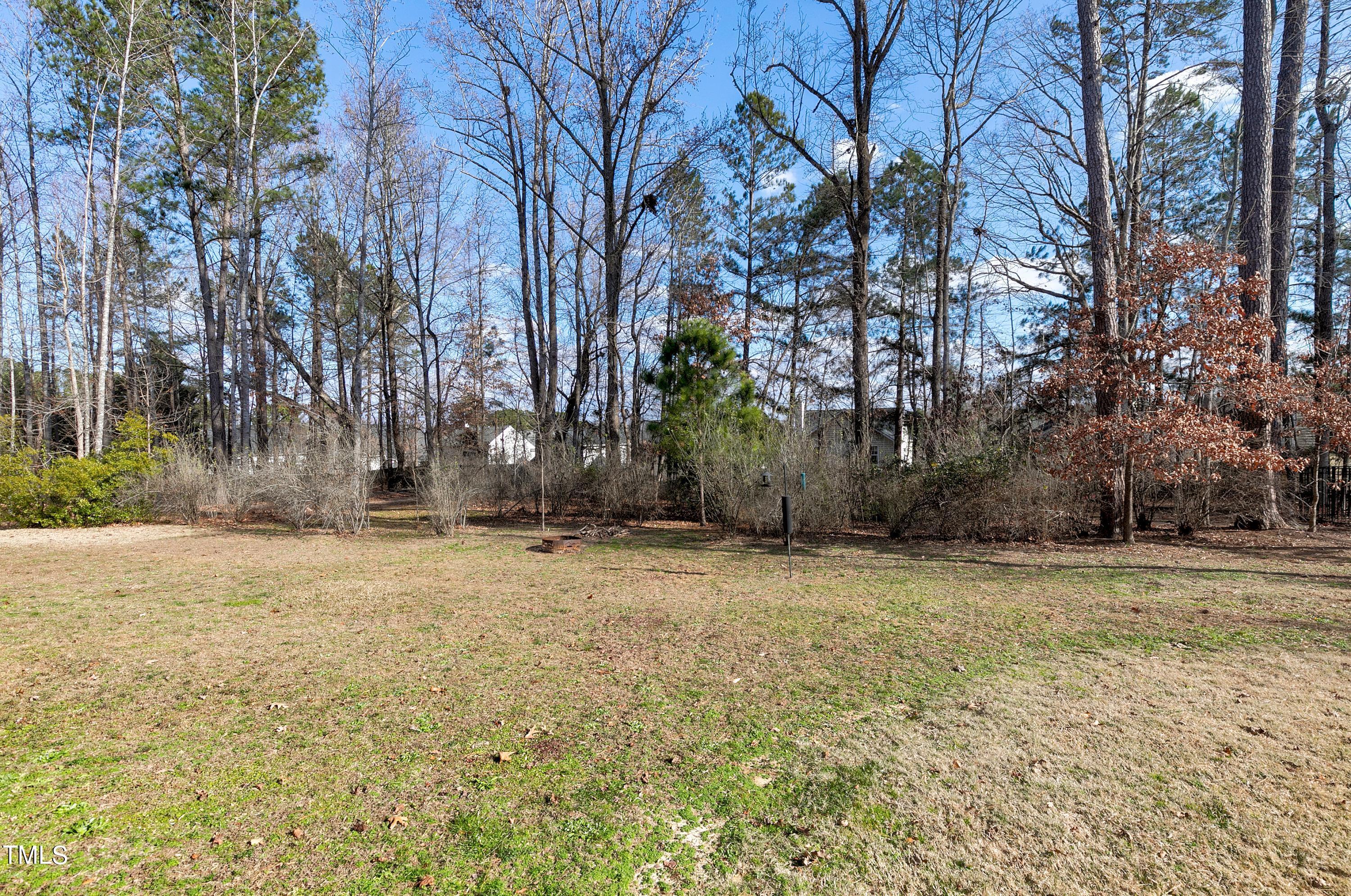 8533 Hurst Drive Raleigh, NC 27603 - Photo 31 of 43 a view of a yard with large trees