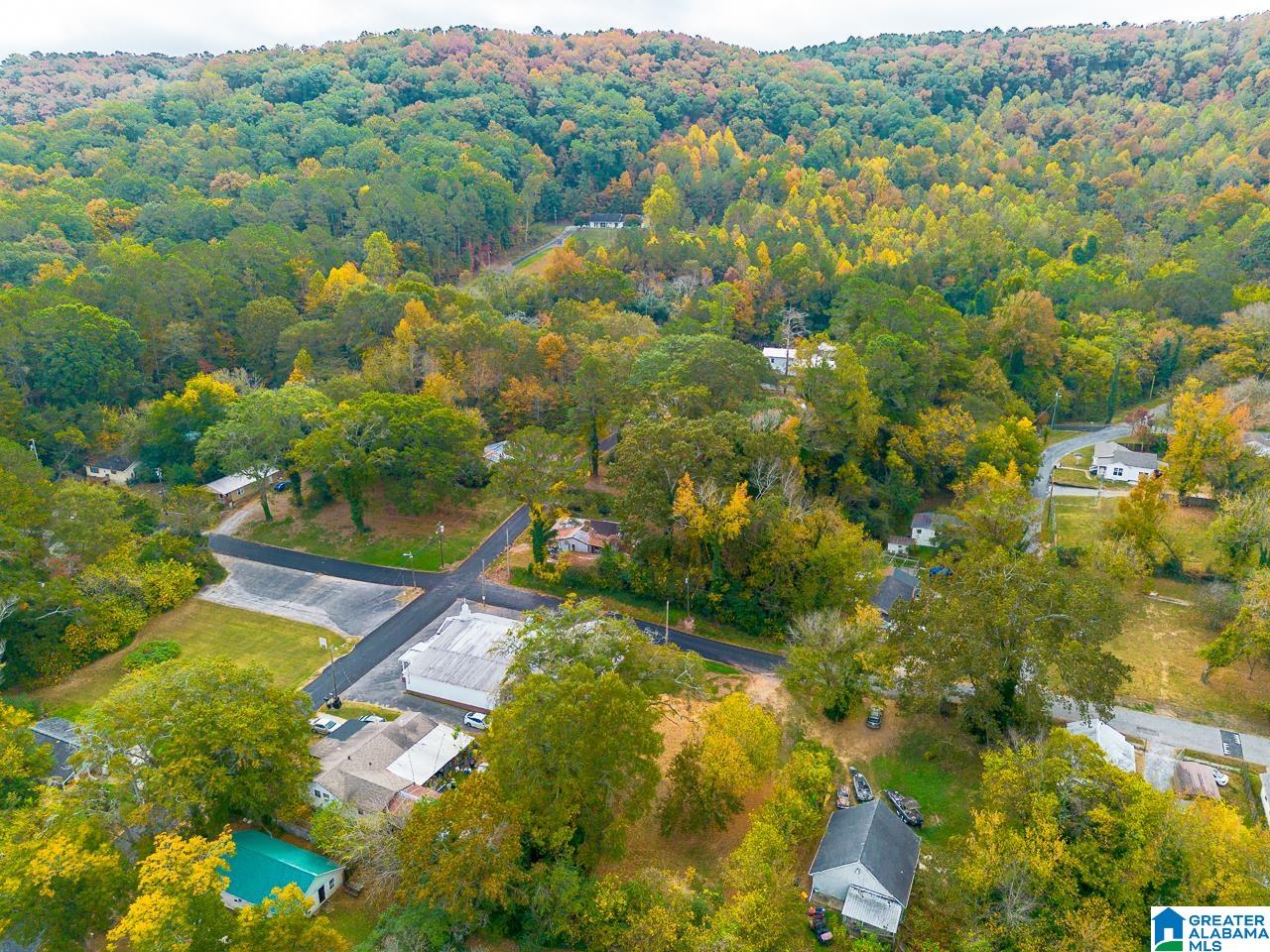 3708 Perry Street Guntersville, AL 35976 - Photo 23 of 29