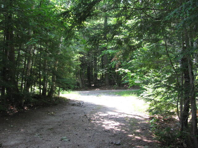 151 Hamilton Road Lakeville, ME 04487 - Photo 33 of 36 Driveway...
