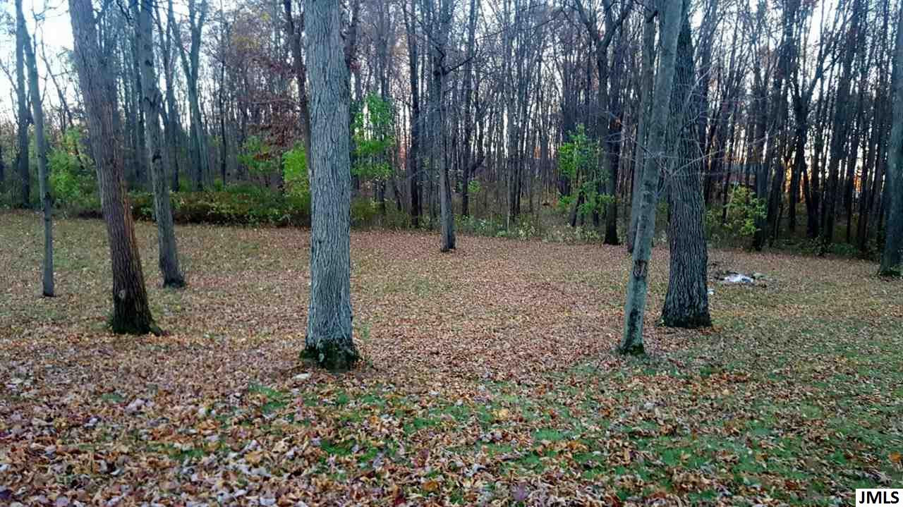 9200 Coon Hill Road Munith, MI 49259 - Photo 5 of 18 Photo 5