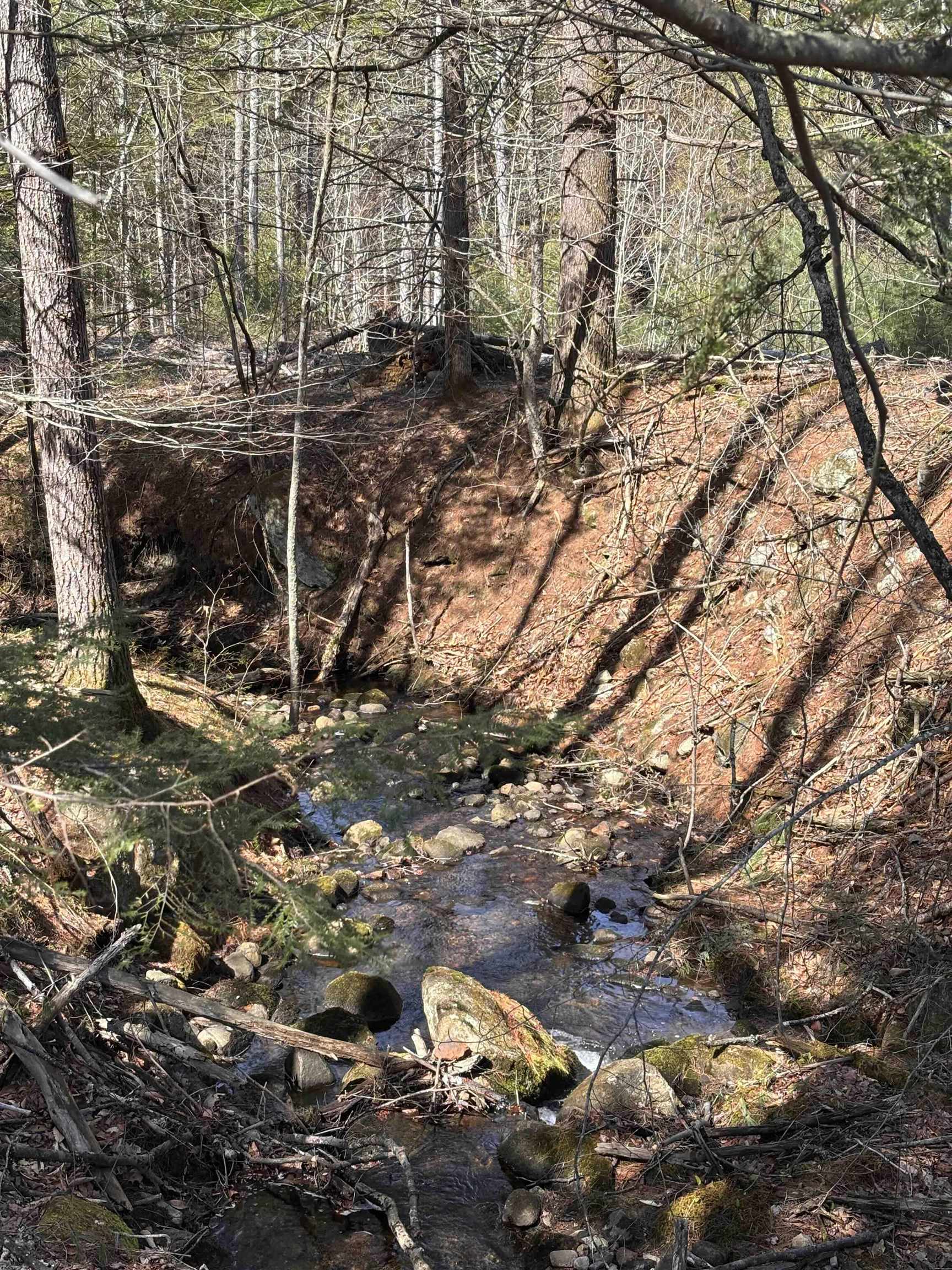 L:64-65 Old Turnpike Road Richmond, NH 03470 - Photo 6 of 6