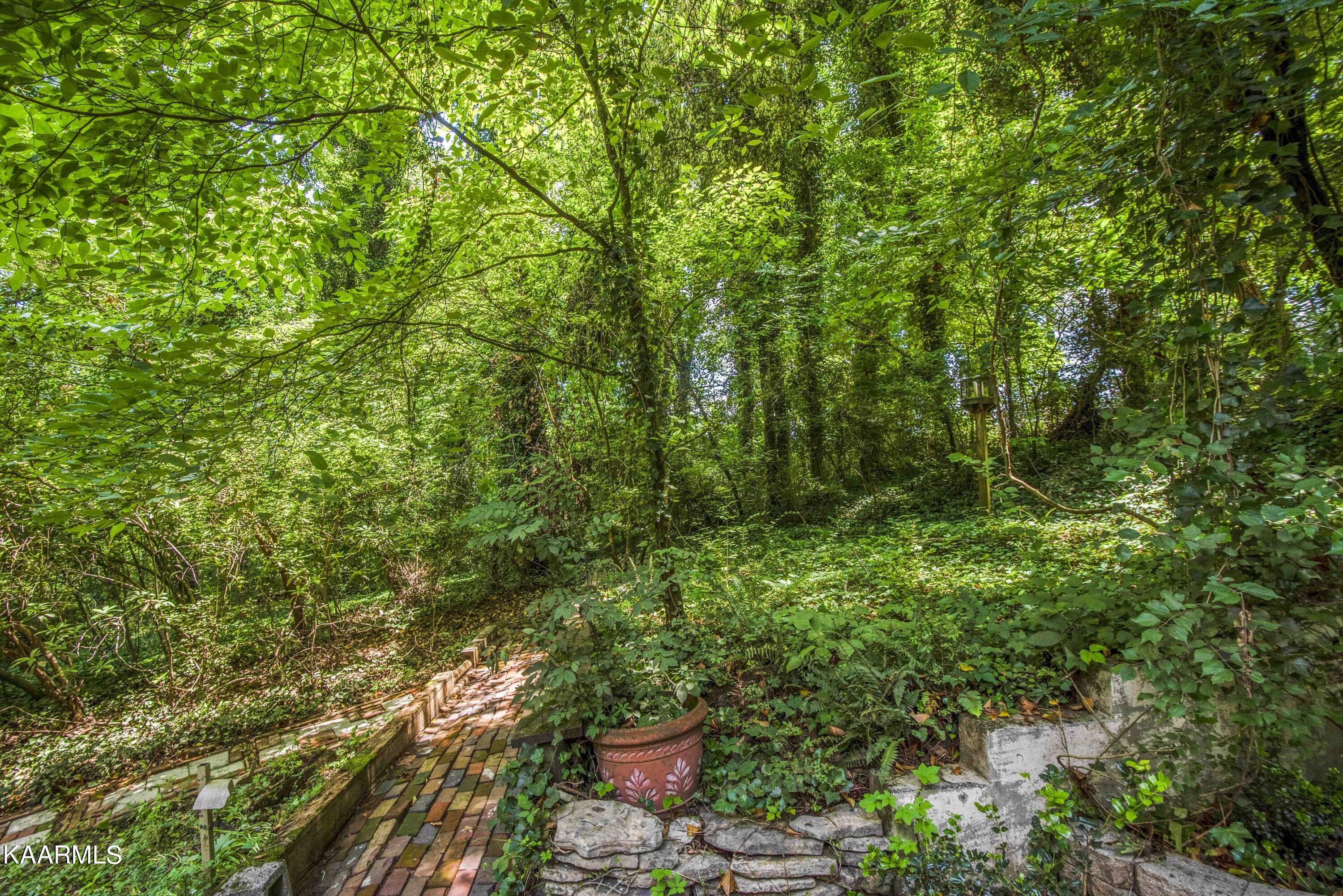 28 Montclair Road Oak Ridge, TN 37830 - Photo 51 of 57 View from Back Patio