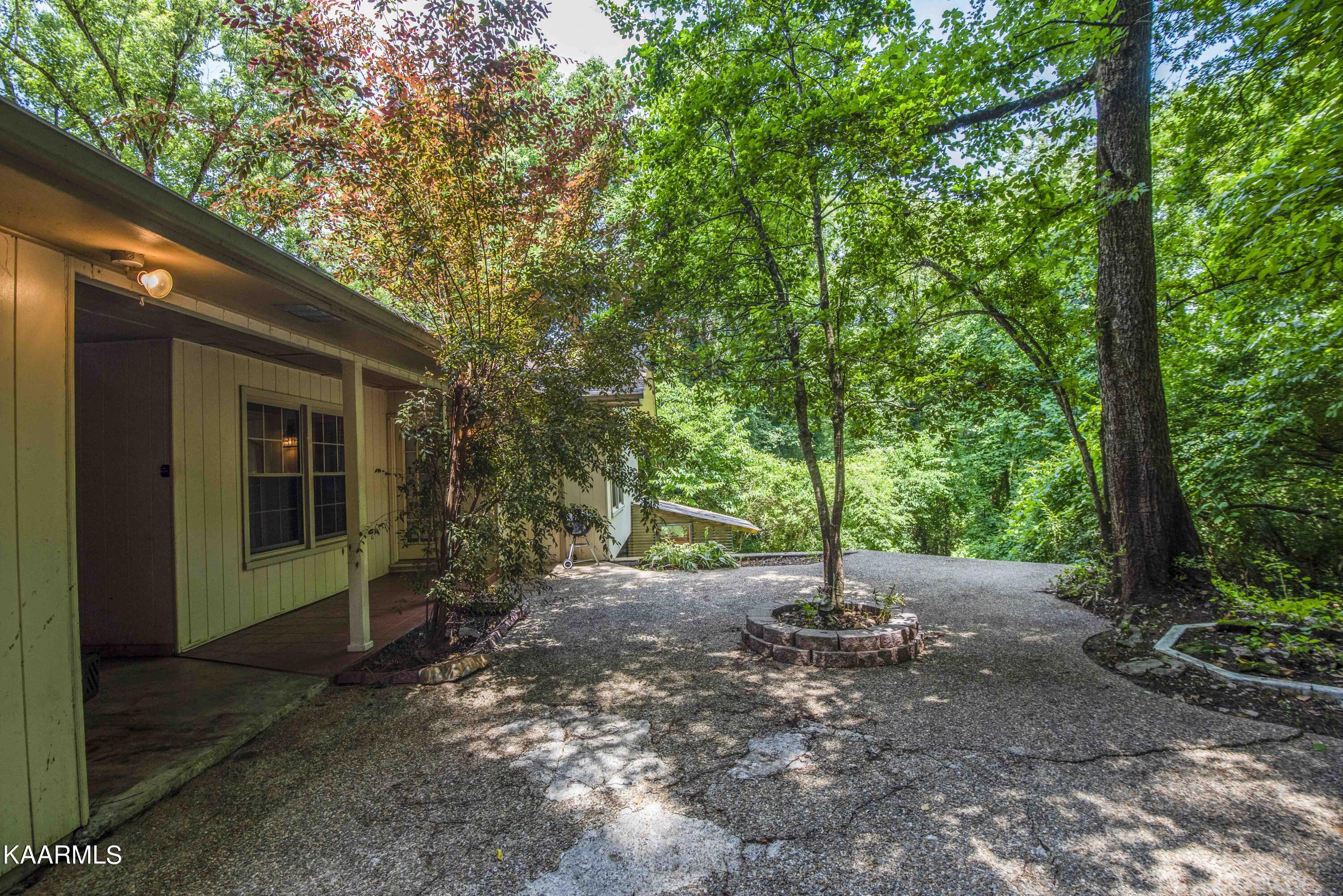 28 Montclair Road Oak Ridge, TN 37830 - Photo 52 of 57 Back Patio