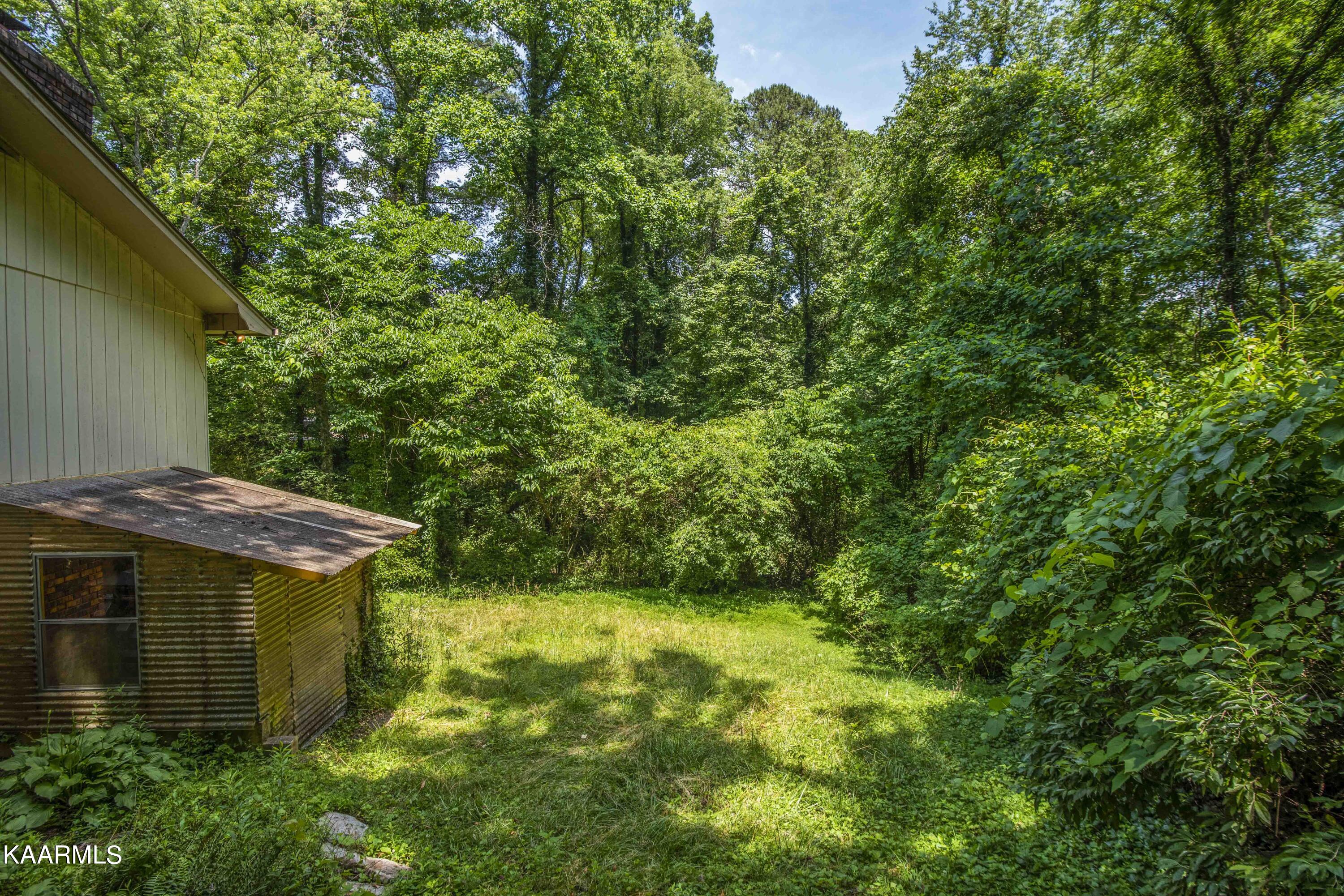 28 Montclair Road Oak Ridge, TN 37830 - Photo 53 of 57 Back Yard