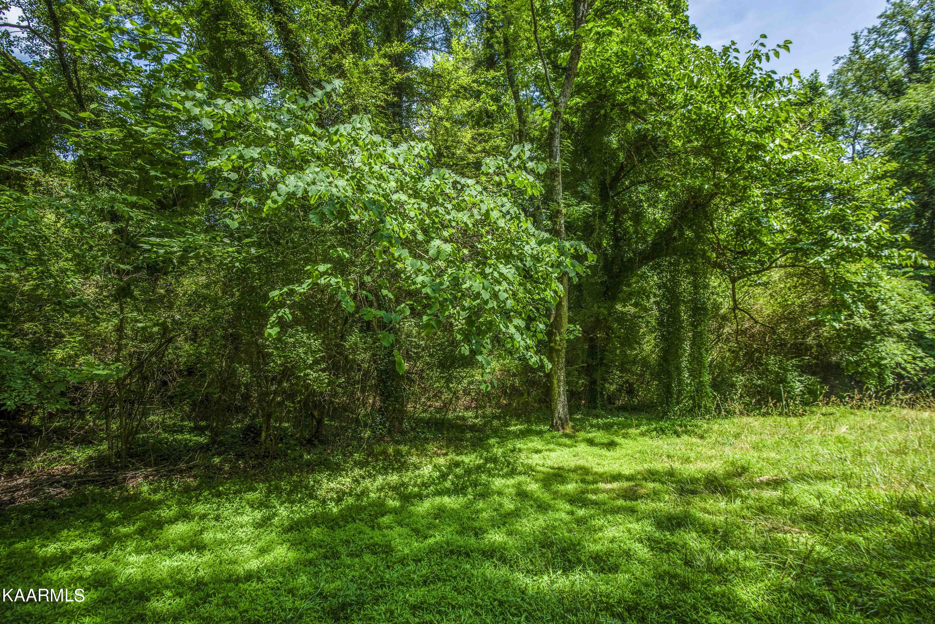 28 Montclair Road Oak Ridge, TN 37830 - Photo 56 of 57 Side/Back Yard