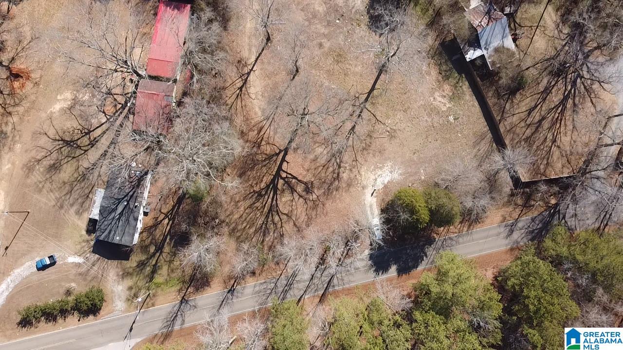 2161 Odens Mill Road Sylacauga, AL 35151 - Photo 5 of 17 Gallery Image 5