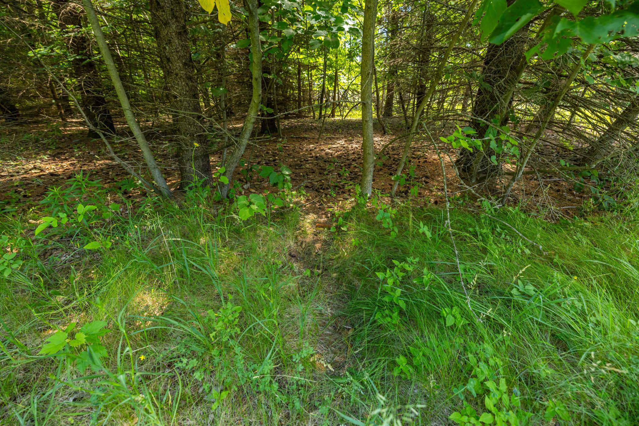 Tbd Base Line Road Northfield, MN 55057 - Photo 23 of 51